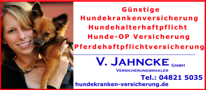 Hundekrankheit-hd